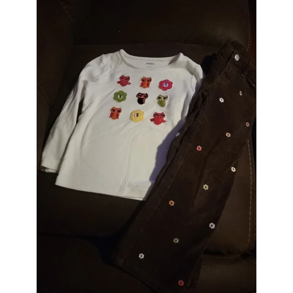 Gymboree fall for autumn‎ owl top and cords size 4